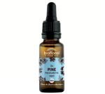 Pin sylvestre - Pine (n°24), BIO, 20&nbsp;ml